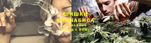 сатива Киренск