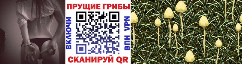 Псилоцибиновые грибы мухоморы  Купить закладки  Устюжна 